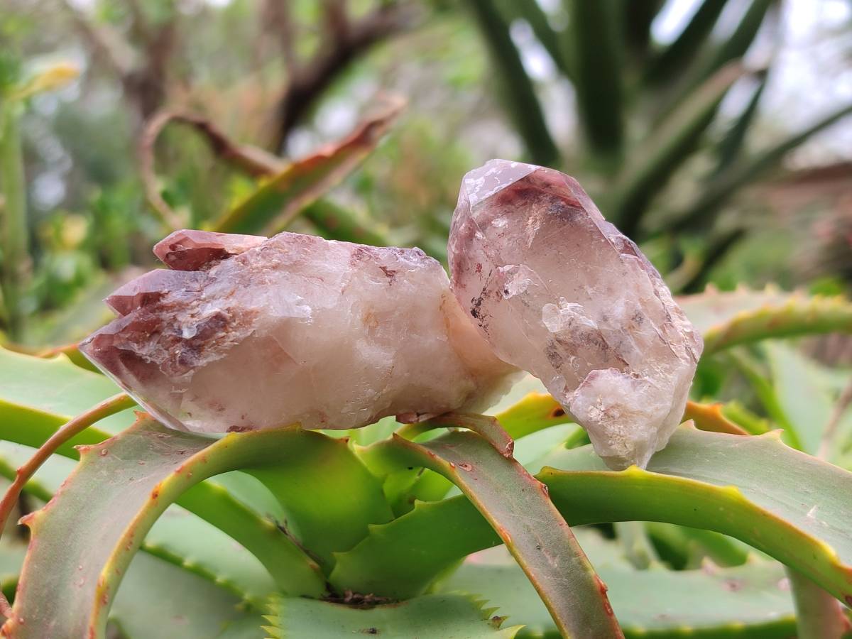 Natural Red Hematoid Crystals x 35 From Madagascar - Toprock Gemstones and Minerals 