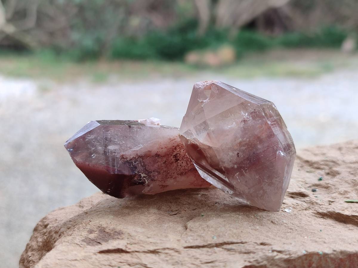 Natural Red Hematoid Crystals x 35 From Madagascar - Toprock Gemstones and Minerals 