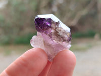 Natural Window Amethyst Crystals x 35 From Chiredzi, Zimbabwe