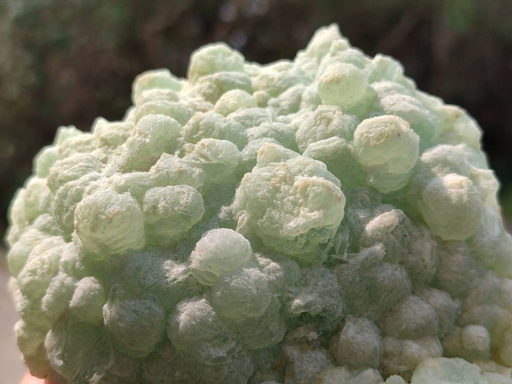 Natural Botryoidal Prehnite Specimens x 2 From Beaufort West, South Africa - Toprock Gemstones and Minerals 