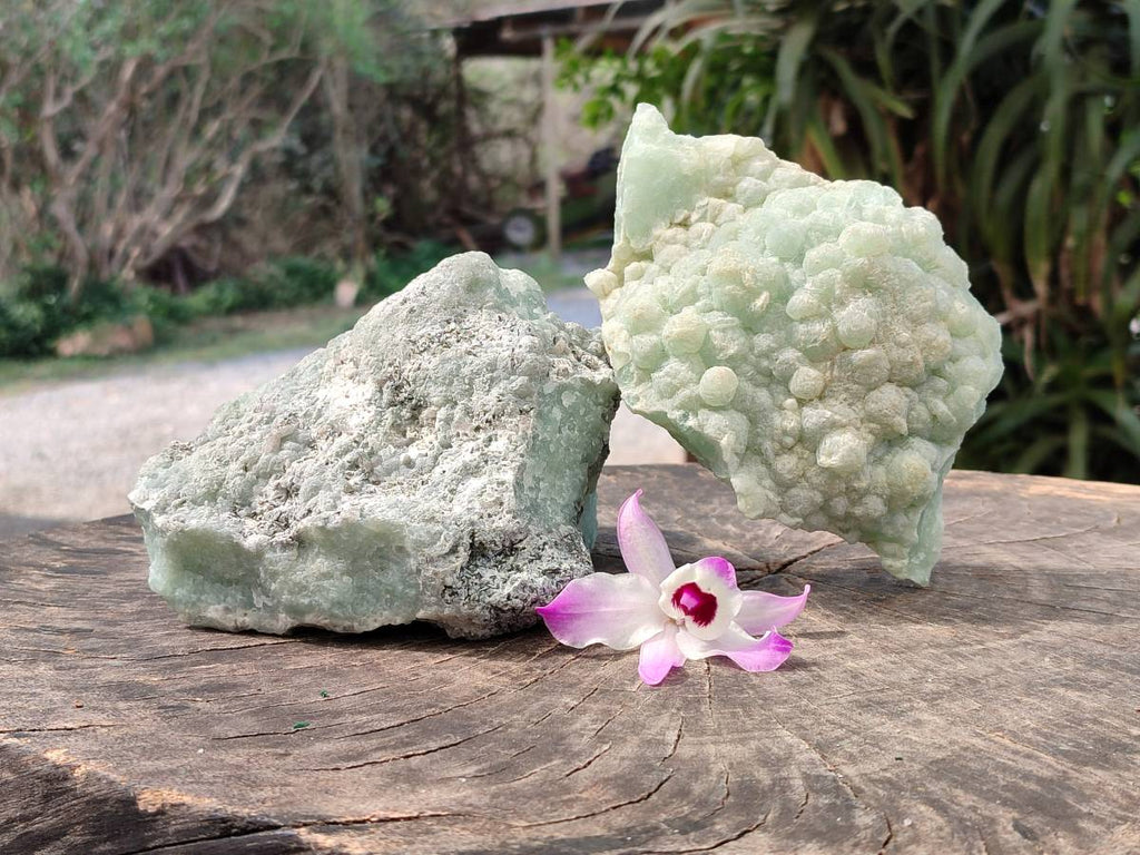 Natural Botryoidal Prehnite Specimens x 2 From Beaufort West, South Africa - Toprock Gemstones and Minerals 