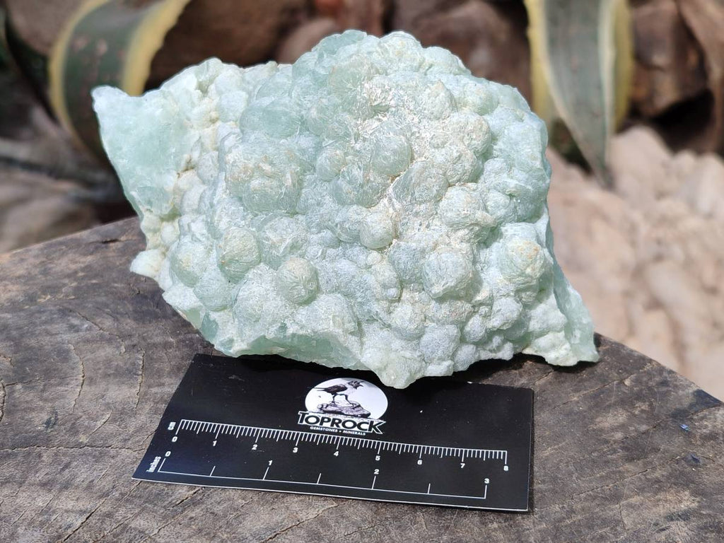 Natural Botryoidal Prehnite Specimens x 2 From Beaufort West, South Africa - Toprock Gemstones and Minerals 