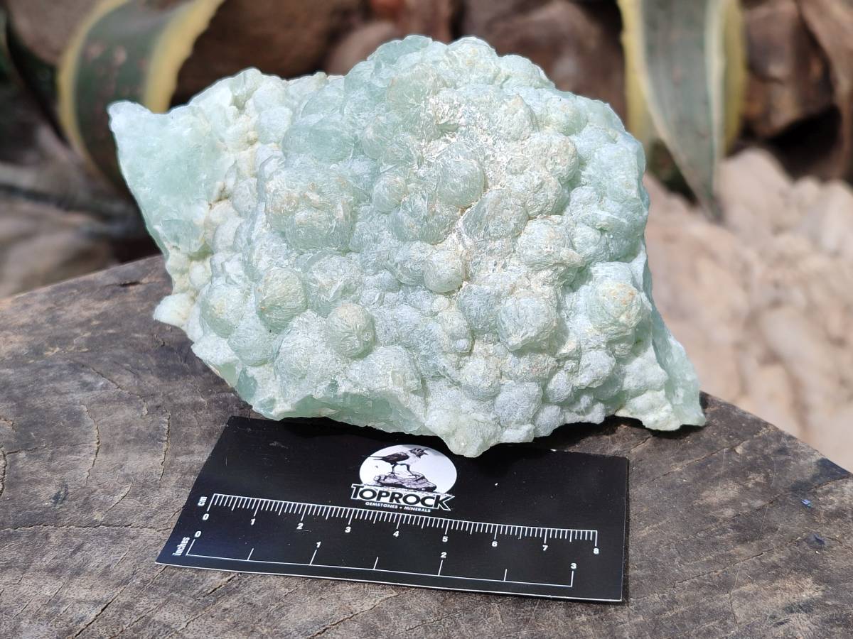 Natural Botryoidal Prehnite Specimens x 2 From Beaufort West, South Africa - Toprock Gemstones and Minerals 