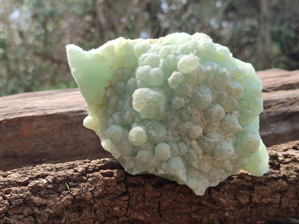 Natural Botryoidal Prehnite Specimens x 2 From Beaufort West, South Africa - Toprock Gemstones and Minerals 