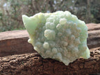 Natural Botryoidal Prehnite Specimens x 2 From Beaufort West, South Africa - Toprock Gemstones and Minerals 