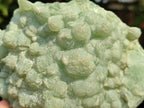 Natural Botryoidal Prehnite Specimens x 2 From Beaufort West, South Africa - Toprock Gemstones and Minerals 