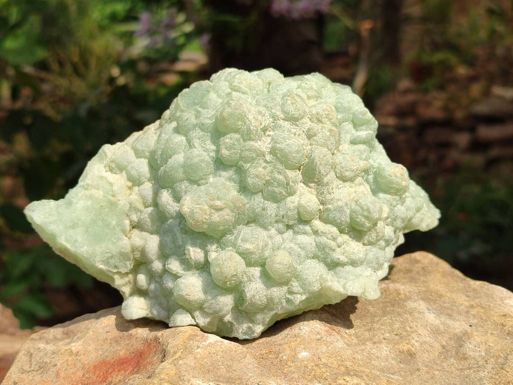 Natural Botryoidal Prehnite Specimens x 2 From Beaufort West, South Africa - Toprock Gemstones and Minerals 