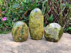 Polished Green Opal Standing Free Forms x 3 From Antsirabe, Madagascar - Toprock Gemstones and Minerals 