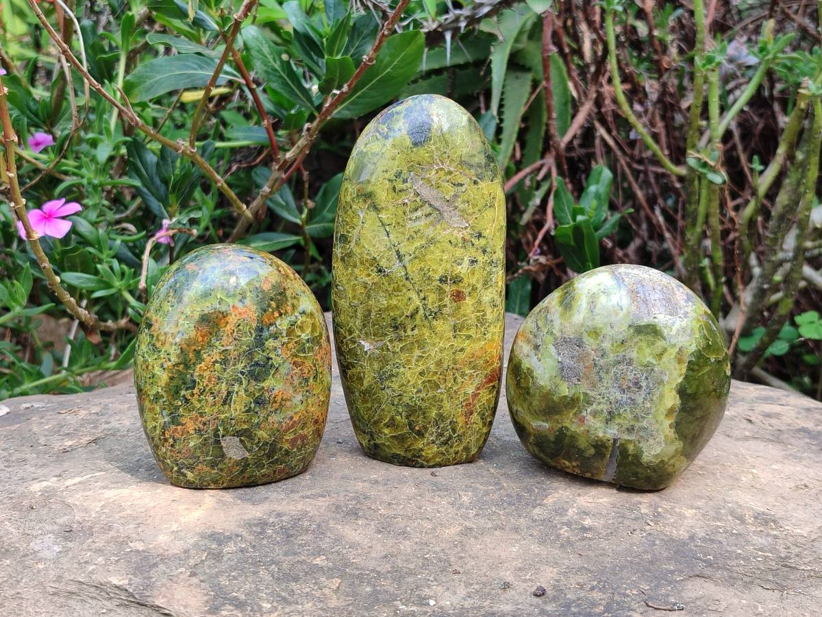 Polished Green Opal Standing Free Forms x 3 From Antsirabe, Madagascar - Toprock Gemstones and Minerals 