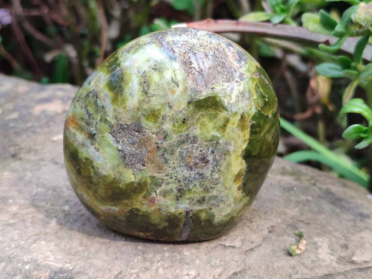 Polished Green Opal Standing Free Forms x 3 From Antsirabe, Madagascar - Toprock Gemstones and Minerals 