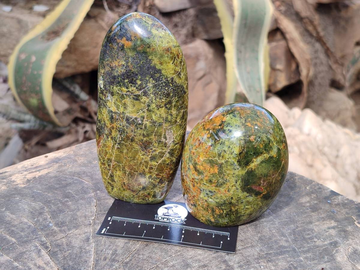 Polished Green Opal Standing Free Forms x 3 From Antsirabe, Madagascar - Toprock Gemstones and Minerals 