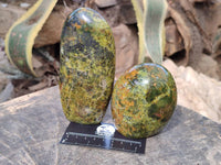 Polished Green Opal Standing Free Forms x 3 From Antsirabe, Madagascar