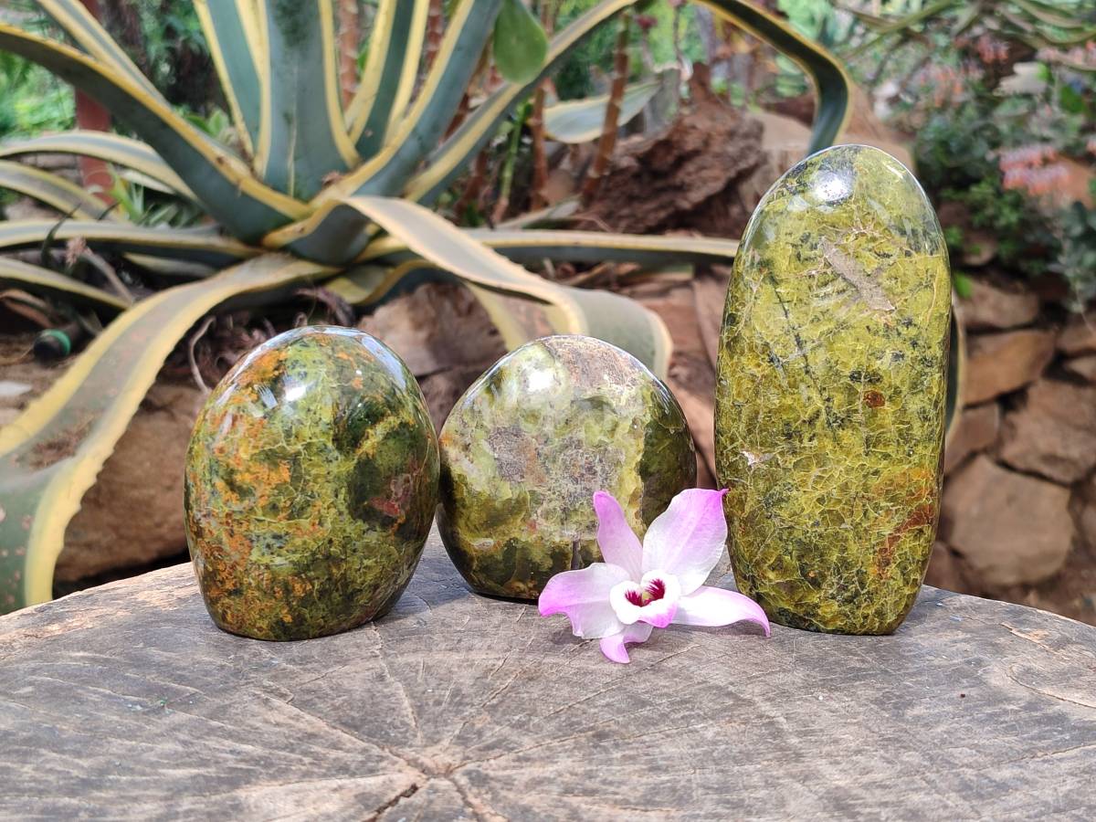 Polished Green Opal Standing Free Forms x 3 From Antsirabe, Madagascar - Toprock Gemstones and Minerals 