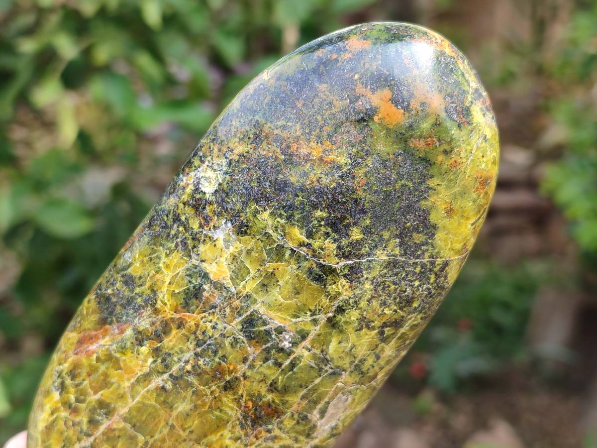 Polished Green Opal Standing Free Forms x 3 From Antsirabe, Madagascar - Toprock Gemstones and Minerals 