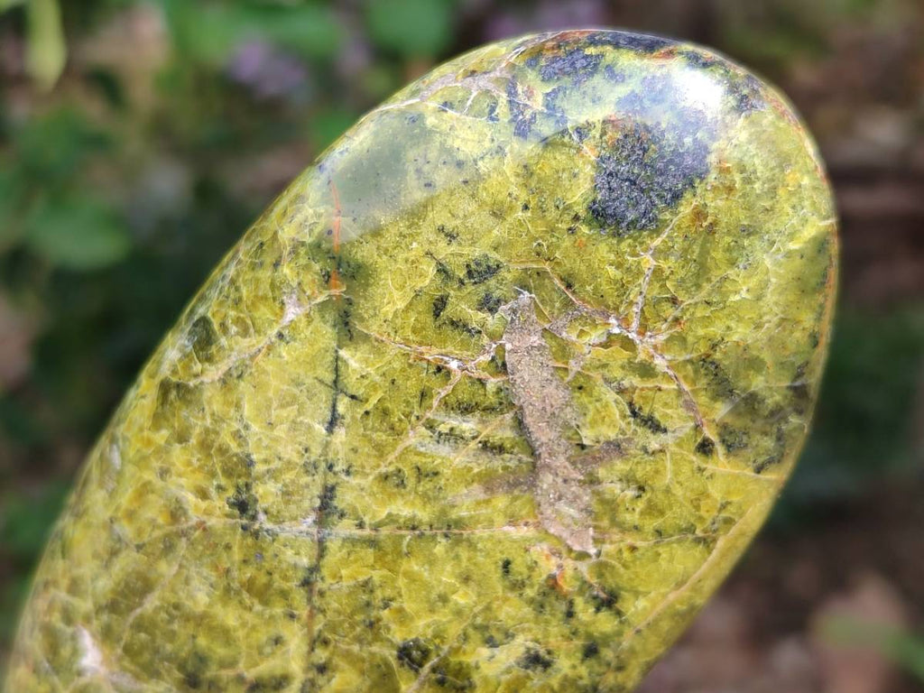 Polished Green Opal Standing Free Forms x 3 From Antsirabe, Madagascar - Toprock Gemstones and Minerals 
