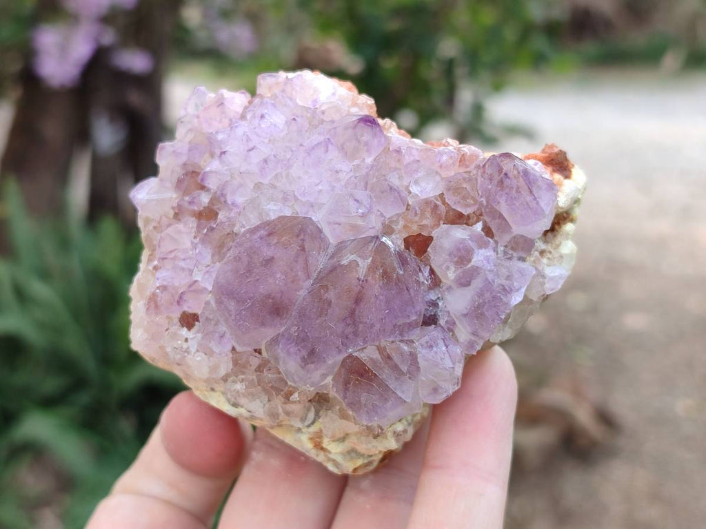 Natural Amethyst Spirit Quartz Clusters x 4 From Boekenhouthoek, South Africa - Toprock Gemstones and Minerals 