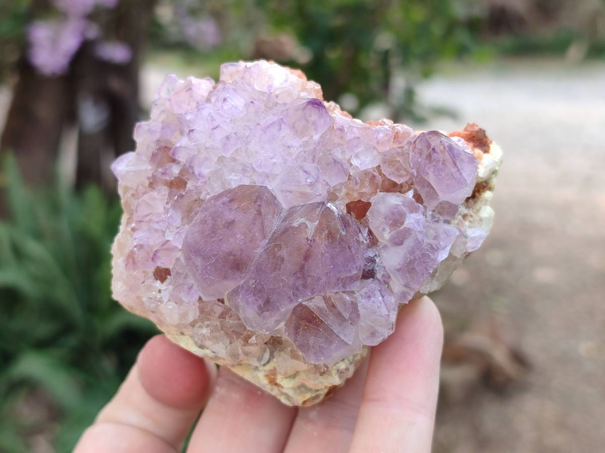 Natural Amethyst Spirit Quartz Clusters x 4 From Boekenhouthoek, South Africa - Toprock Gemstones and Minerals 