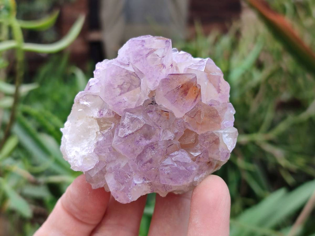 Natural Amethyst Spirit Quartz Clusters x 4 From Boekenhouthoek, South Africa - Toprock Gemstones and Minerals 