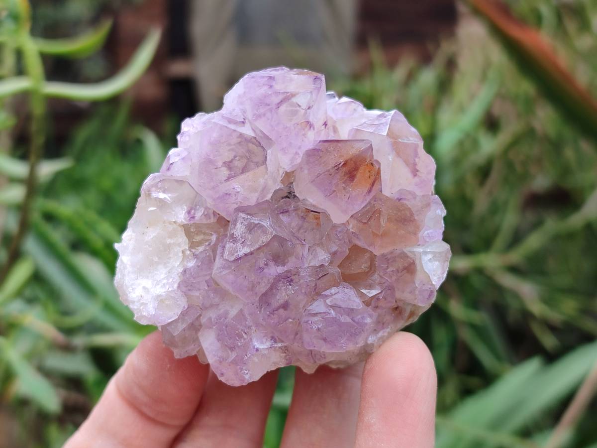 Natural Amethyst Spirit Quartz Clusters x 4 From Boekenhouthoek, South Africa - Toprock Gemstones and Minerals 