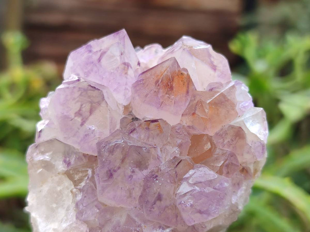 Natural Amethyst Spirit Quartz Clusters x 4 From Boekenhouthoek, South Africa - Toprock Gemstones and Minerals 
