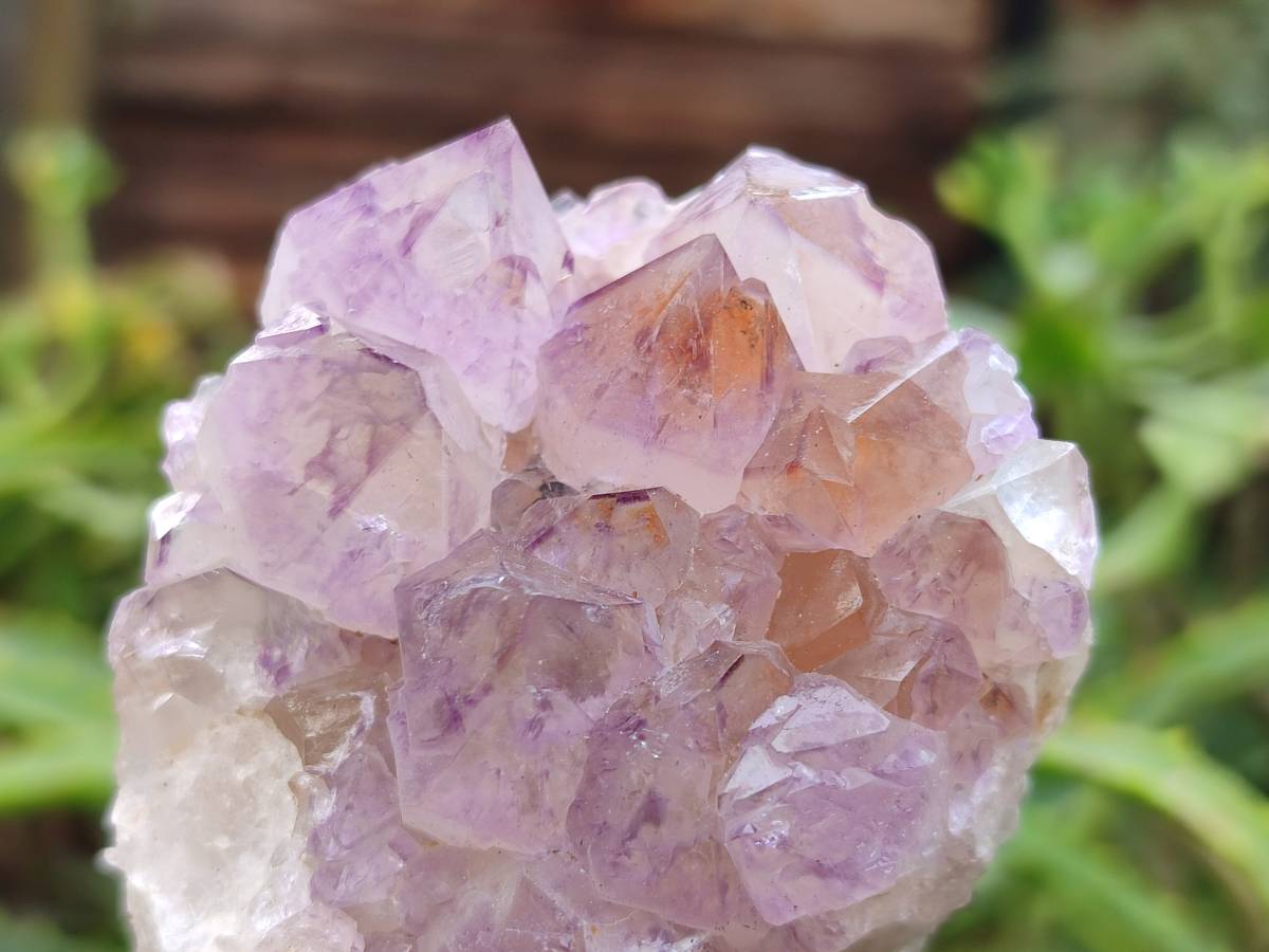 Natural Amethyst Spirit Quartz Clusters x 4 From Boekenhouthoek, South Africa - Toprock Gemstones and Minerals 