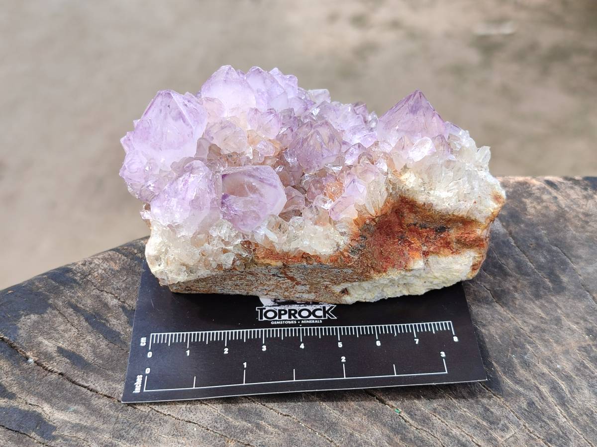 Natural Amethyst Spirit Quartz Clusters x 4 From Boekenhouthoek, South Africa - Toprock Gemstones and Minerals 