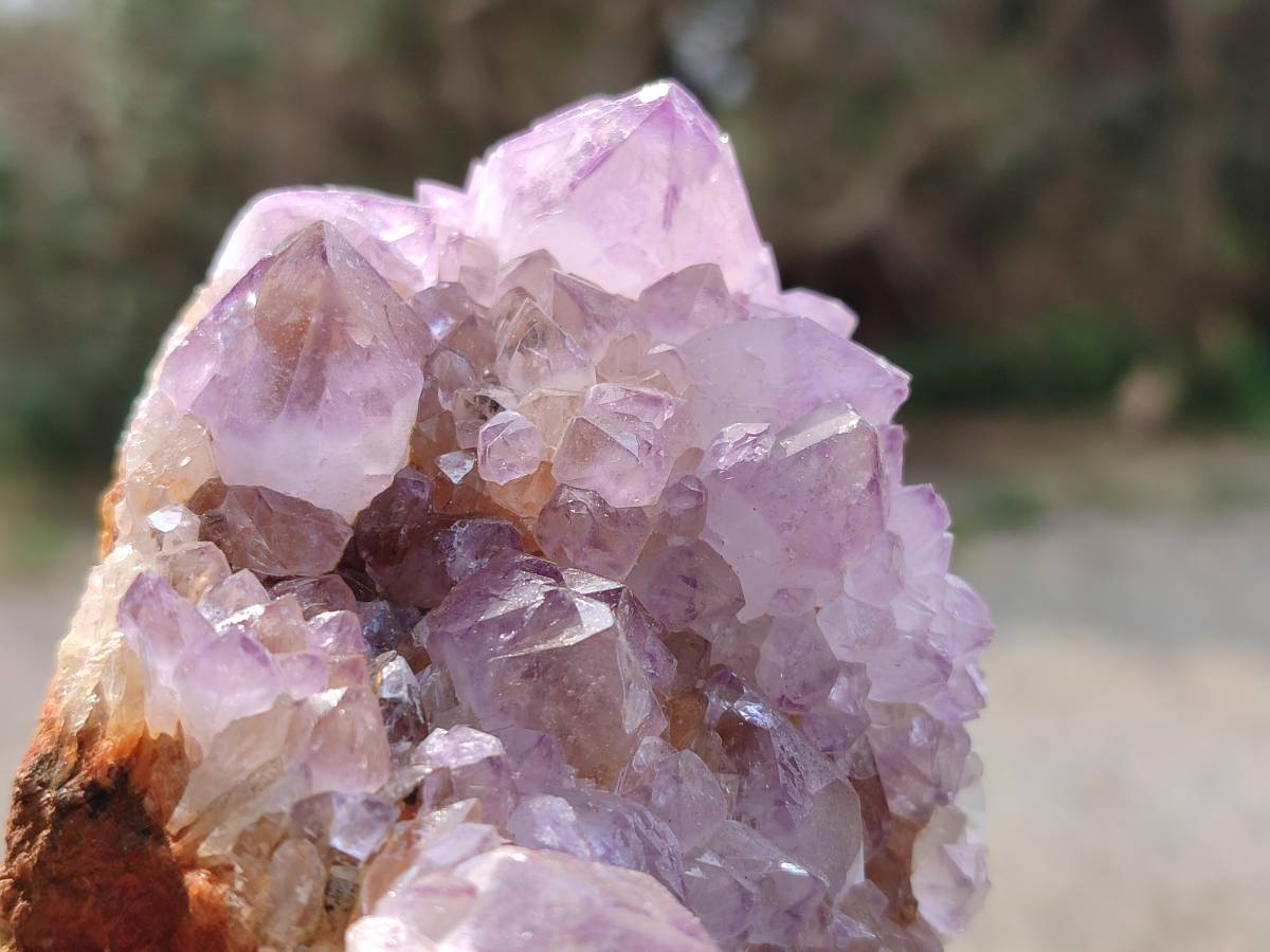 Natural Amethyst Spirit Quartz Clusters x 4 From Boekenhouthoek, South Africa - Toprock Gemstones and Minerals 
