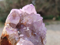 Natural Amethyst Spirit Quartz Clusters x 4 From Boekenhouthoek, South Africa