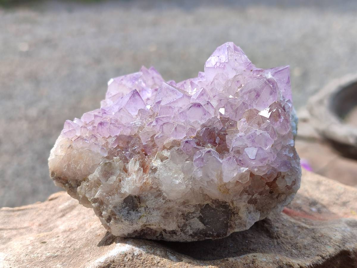 Natural Amethyst Spirit Quartz Clusters x 4 From Boekenhouthoek, South Africa - Toprock Gemstones and Minerals 