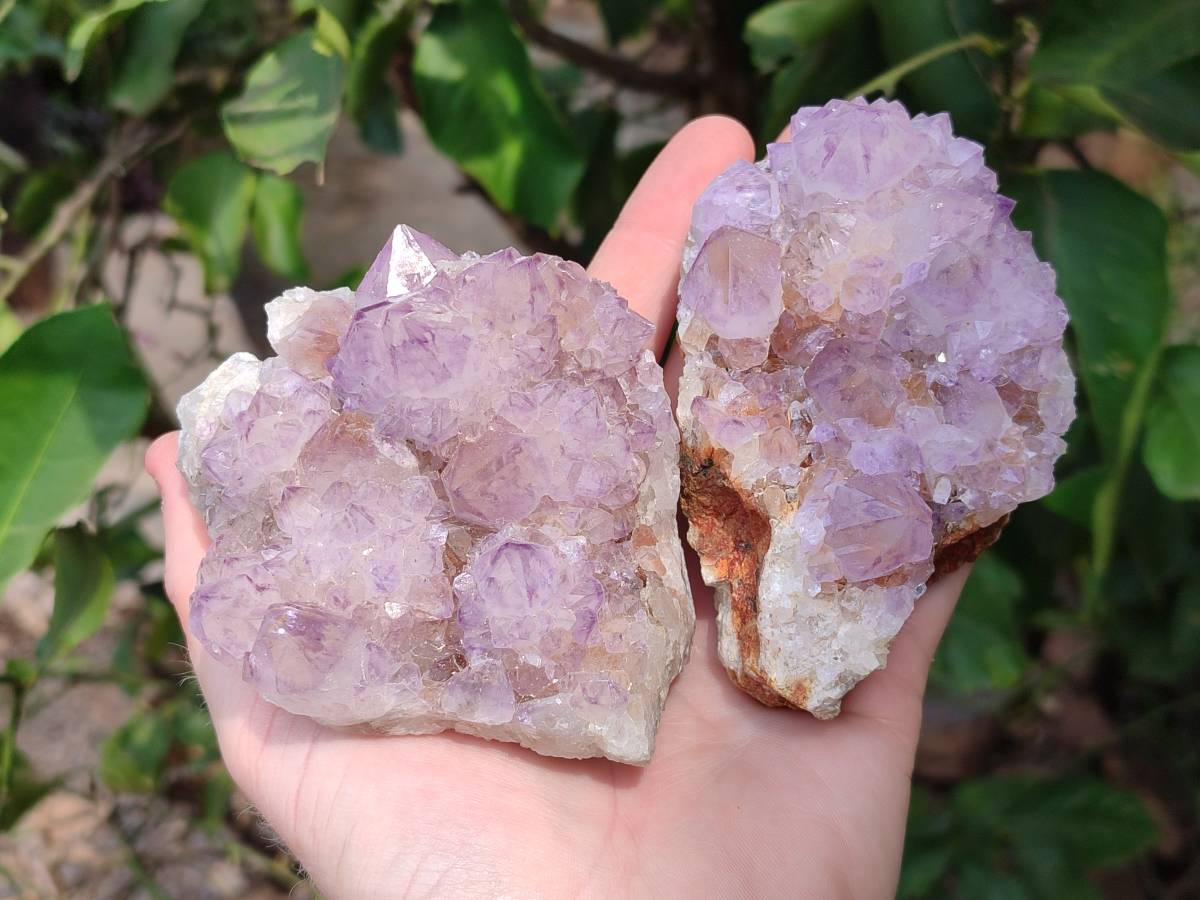 Natural Amethyst Spirit Quartz Clusters x 4 From Boekenhouthoek, South Africa - Toprock Gemstones and Minerals 