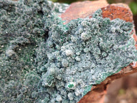 Natural Drusy Crystalline Malachite Specimen x 1 From Tenke Fungurume, Congo