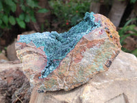 Natural Drusy Crystalline Malachite Specimen x 1 From Tenke Fungurume, Congo