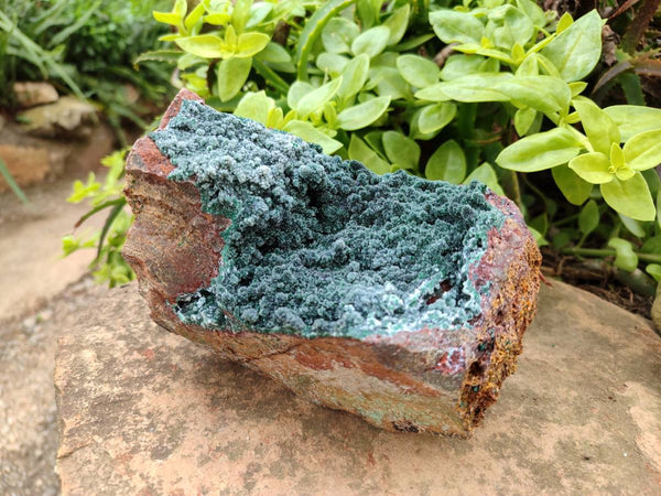 Natural Drusy Crystalline Malachite Specimen x 1 From Tenke Fungurume, Congo
