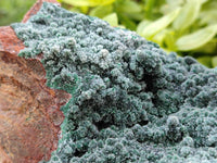 Natural Drusy Crystalline Malachite Specimen x 1 From Tenke Fungurume, Congo