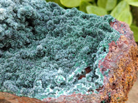 Natural Drusy Crystalline Malachite Specimen x 1 From Tenke Fungurume, Congo