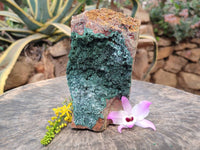 Natural Drusy Crystalline Malachite Specimen x 1 From Tenke Fungurume, Congo