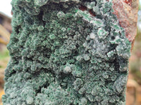 Natural Drusy Crystalline Malachite Specimen x 1 From Tenke Fungurume, Congo