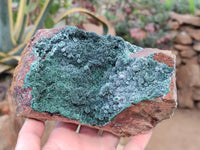 Natural Drusy Crystalline Malachite Specimen x 1 From Tenke Fungurume, Congo
