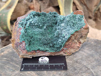 Natural Drusy Crystalline Malachite Specimen x 1 From Tenke Fungurume, Congo