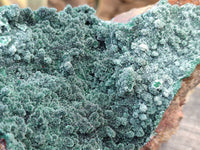 Natural Drusy Crystalline Malachite Specimen x 1 From Tenke Fungurume, Congo