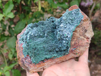 Natural Drusy Crystalline Malachite Specimen x 1 From Tenke Fungurume, Congo