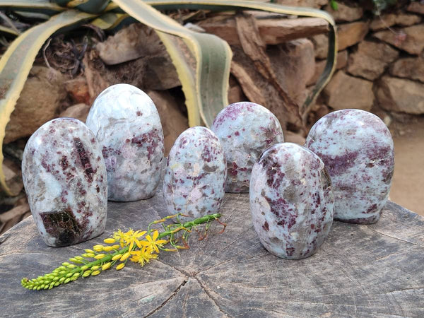 Polished Rubellite Pink Tourmaline Standing Free Forms x 6 From Madagascar