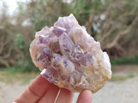 Natural Sugar Amethyst Clusters x 6 From Zambia