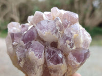 Natural Sugar Amethyst Clusters x 6 From Zambia
