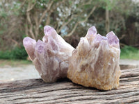 Natural Sugar Amethyst Clusters x 6 From Zambia
