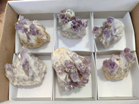 Natural Sugar Amethyst Clusters x 6 From Zambia