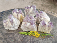 Natural Sugar Amethyst Clusters x 6 From Zambia