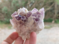 Natural Sugar Amethyst Clusters x 6 From Zambia
