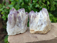 Natural Sugar Amethyst Clusters x 6 From Zambia
