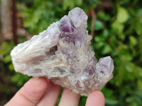 Natural Sugar Amethyst Clusters x 6 From Zambia